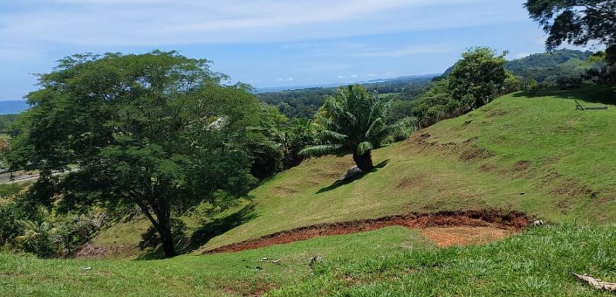 1.7hct. north of Dominical Beach