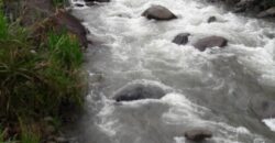 Pasture and river Rivas