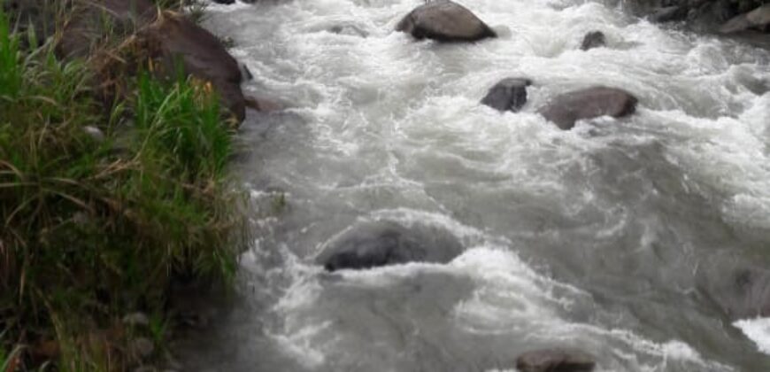 Pasture and river Rivas