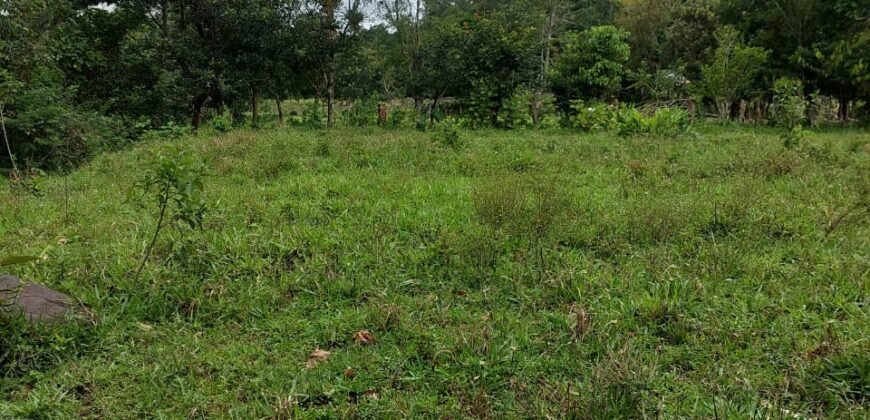 Pasture and river Rivas