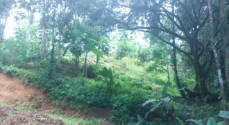 House and land for development- Ceiba Road