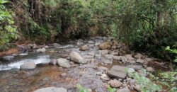 12hct. In San Blas, river, creek ,spring and views