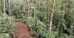 Magical land, creek and river, Santa Elena