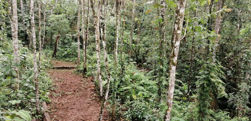 Magical land, creek and river, Santa Elena