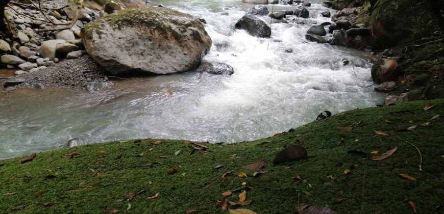 Magical land, creek and river, Santa Elena