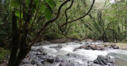 Magical land, creek and river, Santa Elena