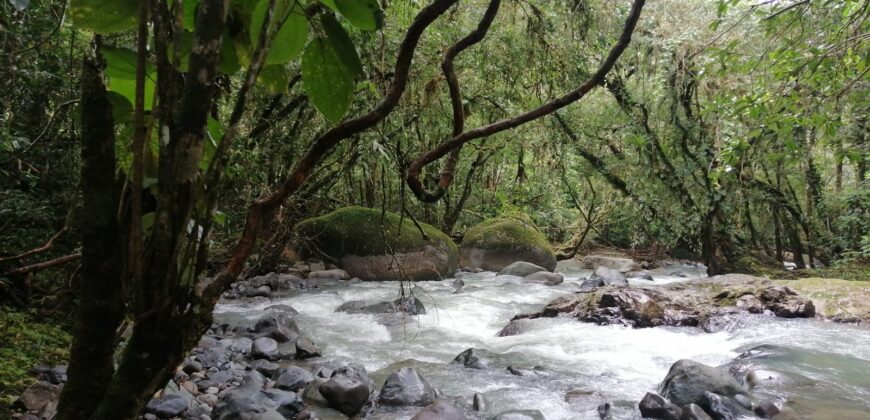 Magical land, creek and river, Santa Elena