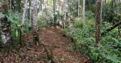 Magical land, creek and river, Santa Elena