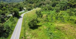 Large property for community and businesses near Dominical