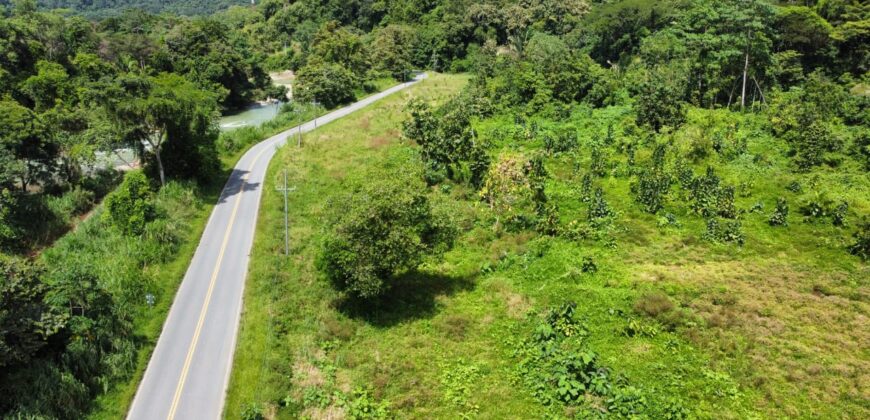 Large property for community and businesses near Dominical