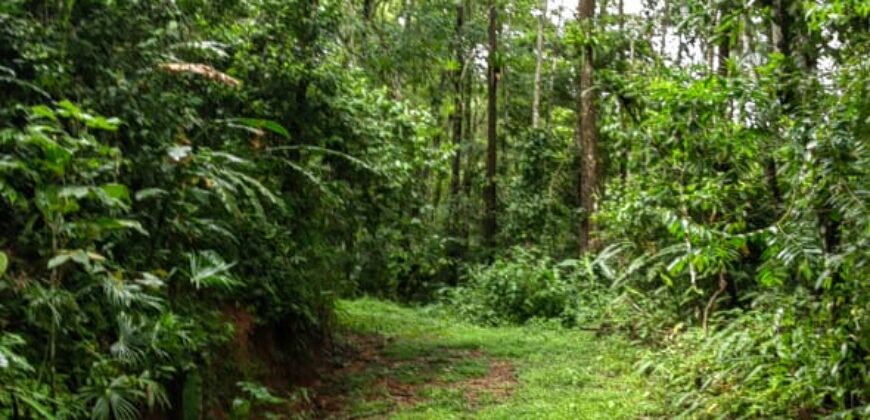 Large property for community and businesses near Dominical