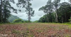 Large property for community and businesses near Dominical