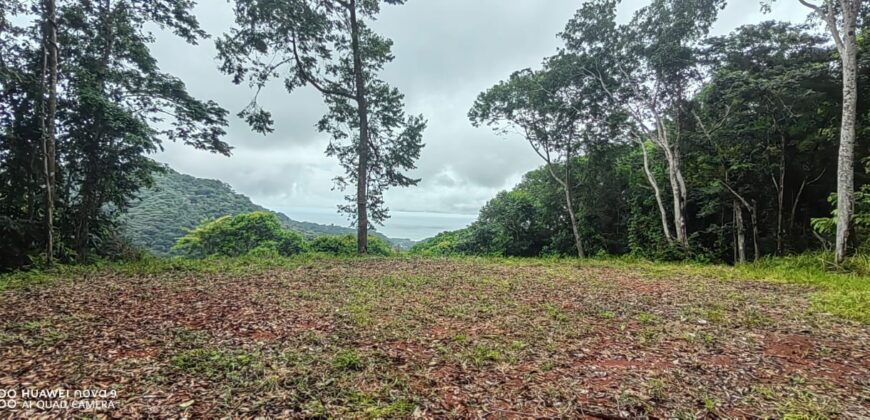 Large property for community and businesses near Dominical