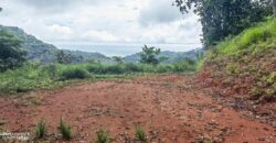 Large property for community and businesses near Dominical