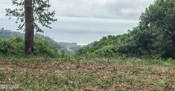 Large property for community and businesses near Dominical