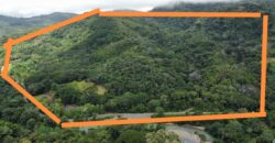 Large property for community and businesses near Dominical