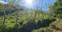 Farm of rains- Canforro above Montecarlo