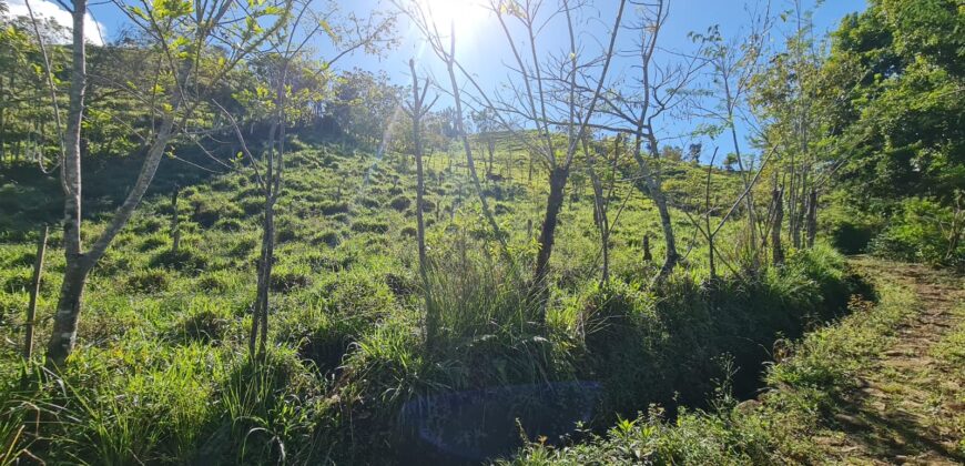 Farm of rains- Canforro above Montecarlo