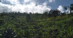 Farm of rains- Canforro above Montecarlo