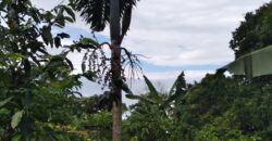 Farm of rains- Canforro above Montecarlo