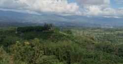Farm of rains- Canforro above Montecarlo
