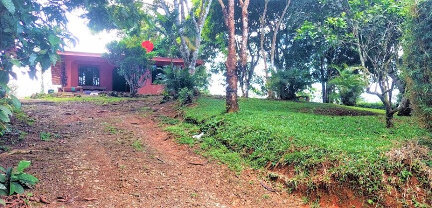 House with lot in Central San Salvador