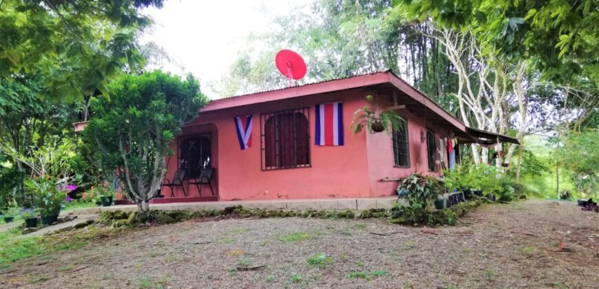 House with lot in Central San Salvador