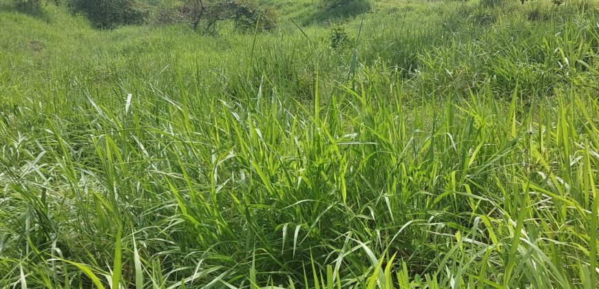 Off-grid land, beautiful views and river