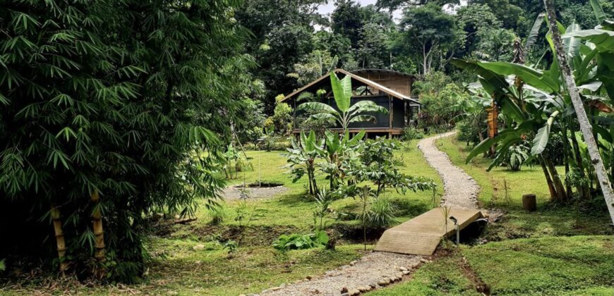 25hct. Retreat/ Ecotourism center in Tinamastes