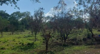 Rural hectar 10mn from San Isidro