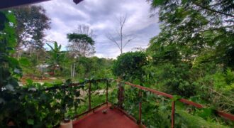 Nature farm and house + Las Tumbas de Baru