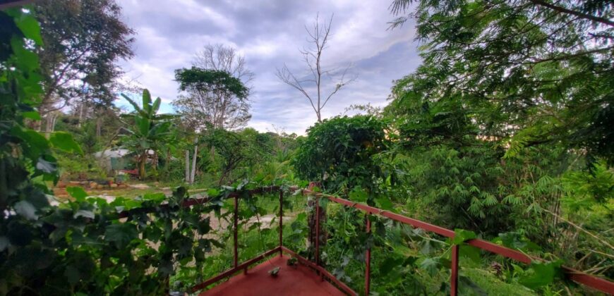 Nature farm and house + Las Tumbas de Baru