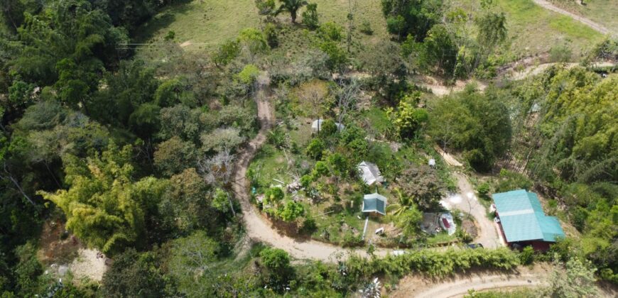 Nature farm and house + Las Tumbas de Baru