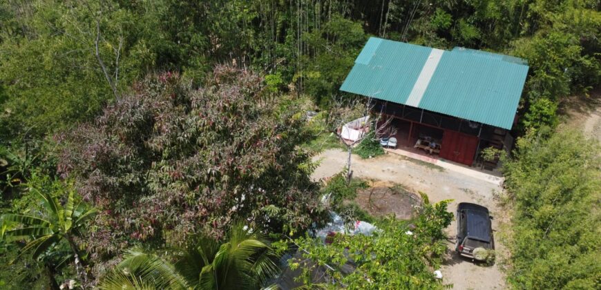 Nature farm and house + Las Tumbas de Baru