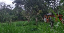 A house in Santa Elena