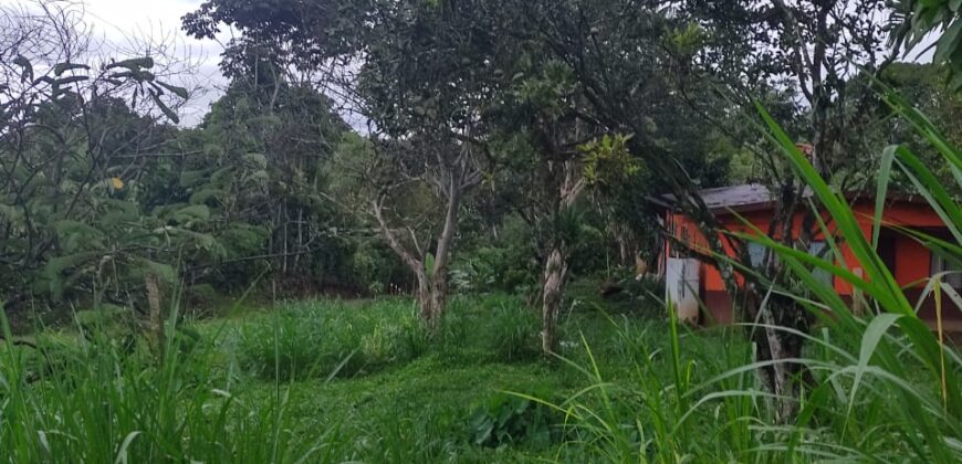 A house in Santa Elena