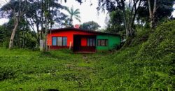 A house in Santa Elena