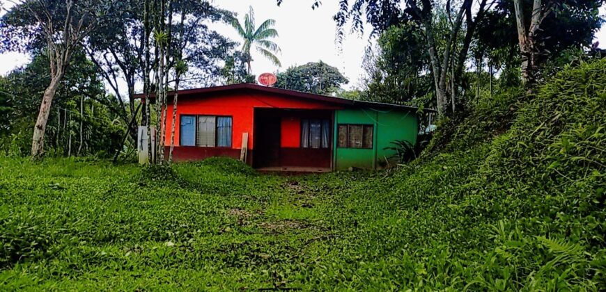 A house in Santa Elena