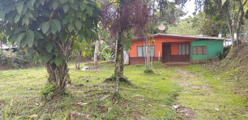 A house in Santa Elena