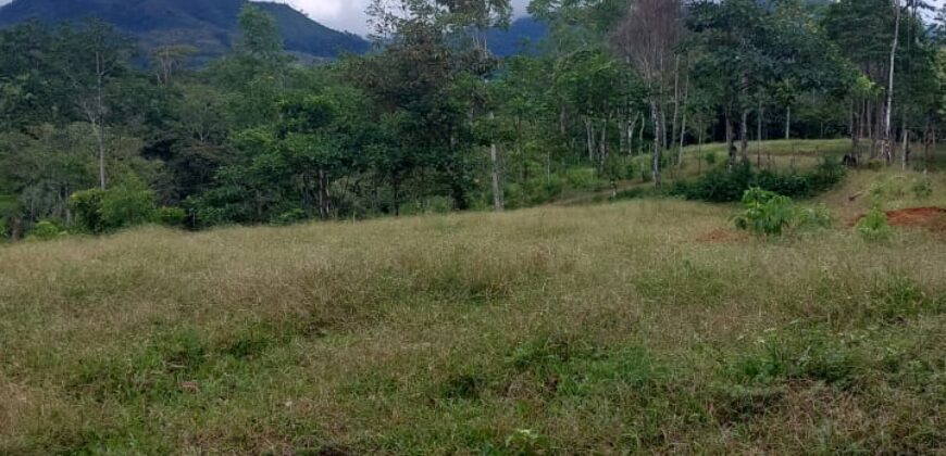 Farm,Fátima San Pedro