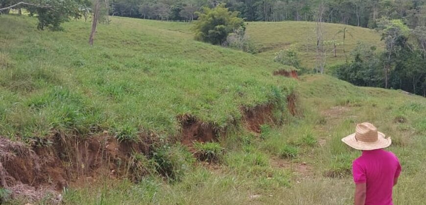 Farm,Fátima San Pedro