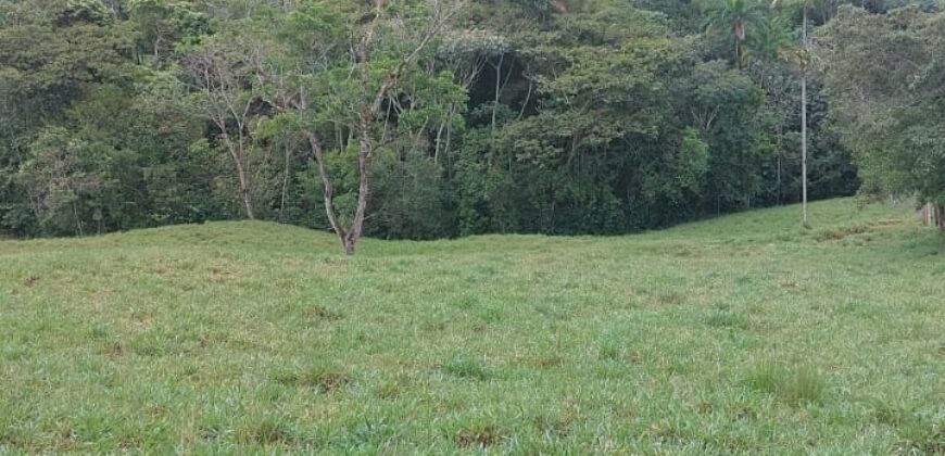 Farm,Fátima San Pedro