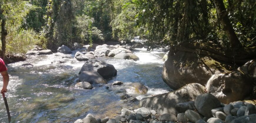 10hct. With powerful river in Santa Elena