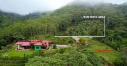 House on a farm with a forest and waterfall in San Pedro