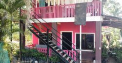 Pink House in Las Tumbas