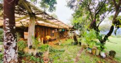 Rustic house with waterfall view