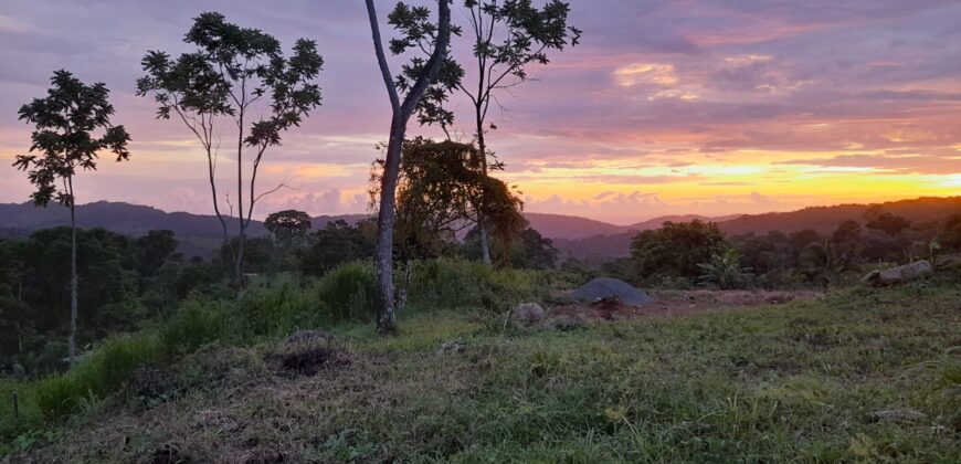 BEAUTIFUL HECTARE WITH A CREEK, STUNNING VIEWS. LAS TUMBAS