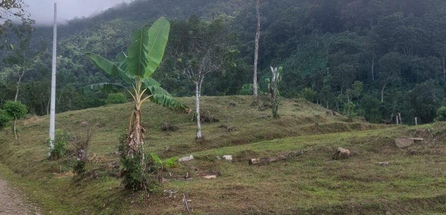 BEAUTIFUL HECTARE WITH A CREEK, STUNNING VIEWS. LAS TUMBAS