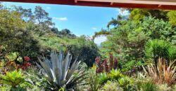 Botanical Paradise south of San Isidro