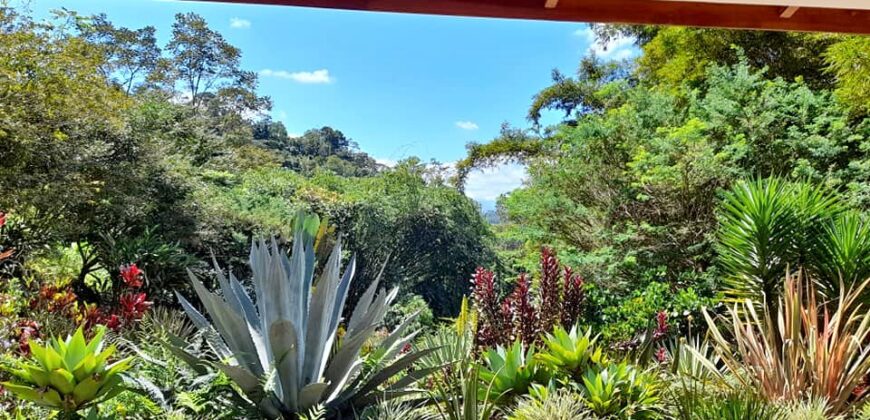 Botanical Paradise south of San Isidro